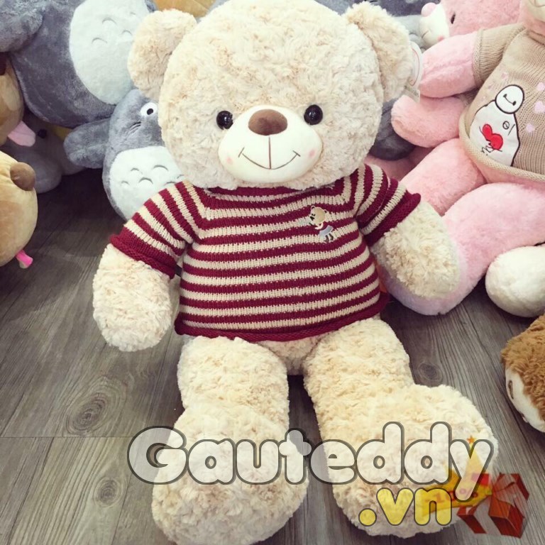 Gấu Teddy Choco - gauteddy.vn