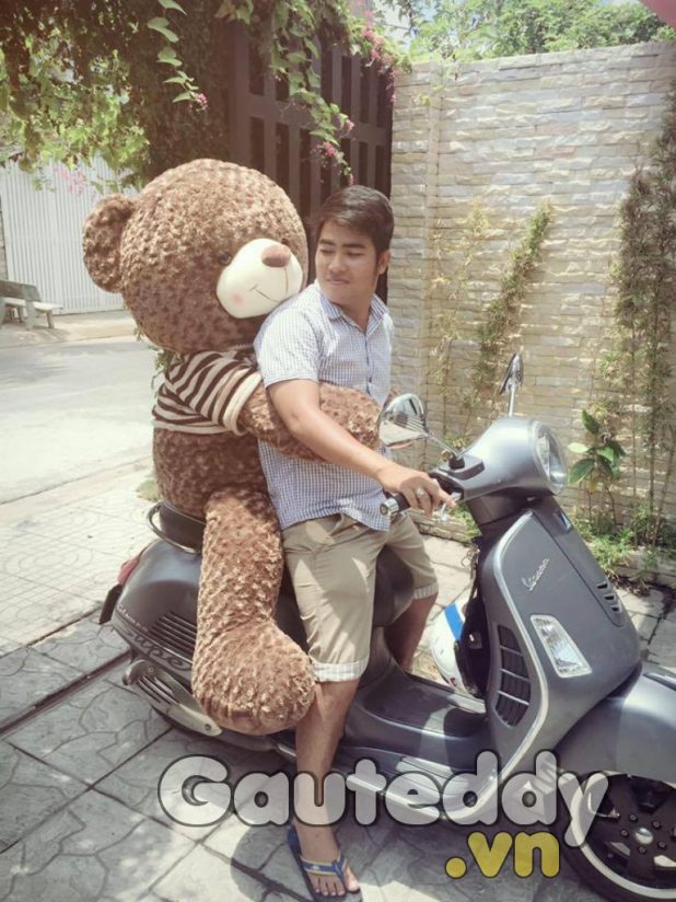 Gấu Bông Teddy 1m8
