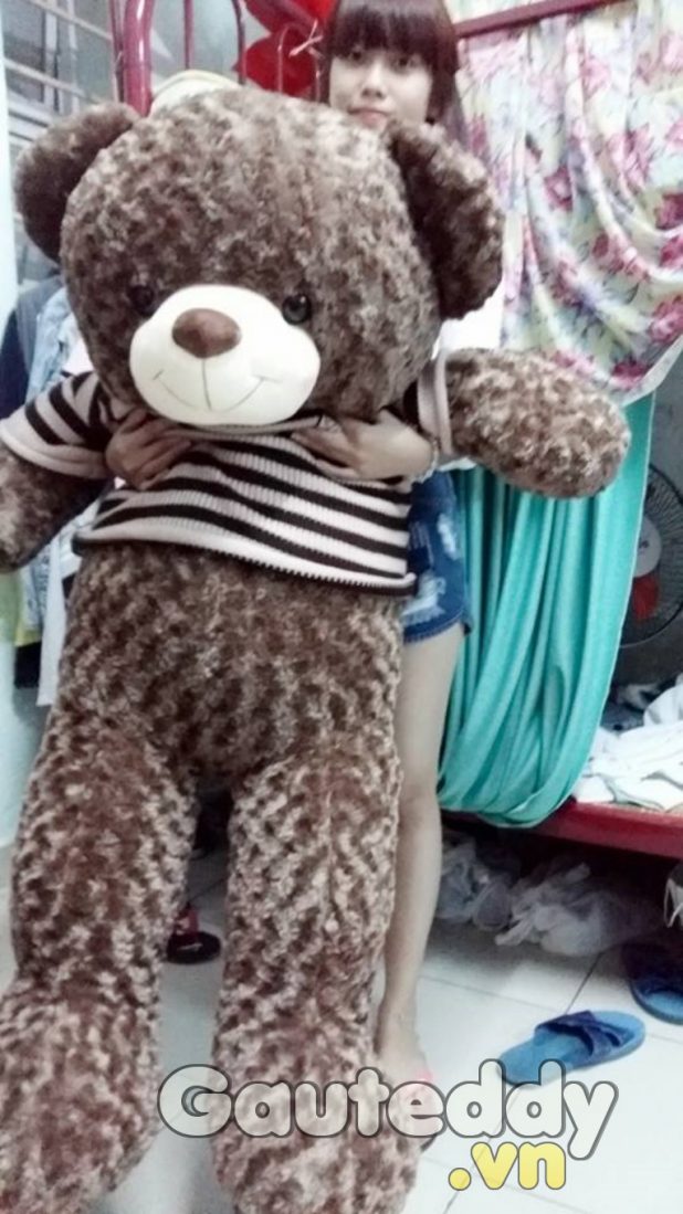 Gấu Teddy Má Hồng - gauteddy.vn
