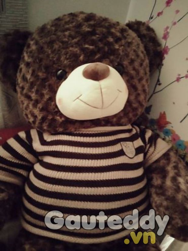 Gấu Teddy Má Hồng - gauteddy.vn