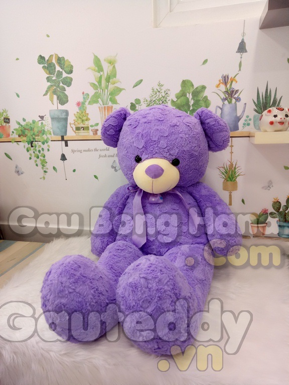 Gấu Teddy Purple Star