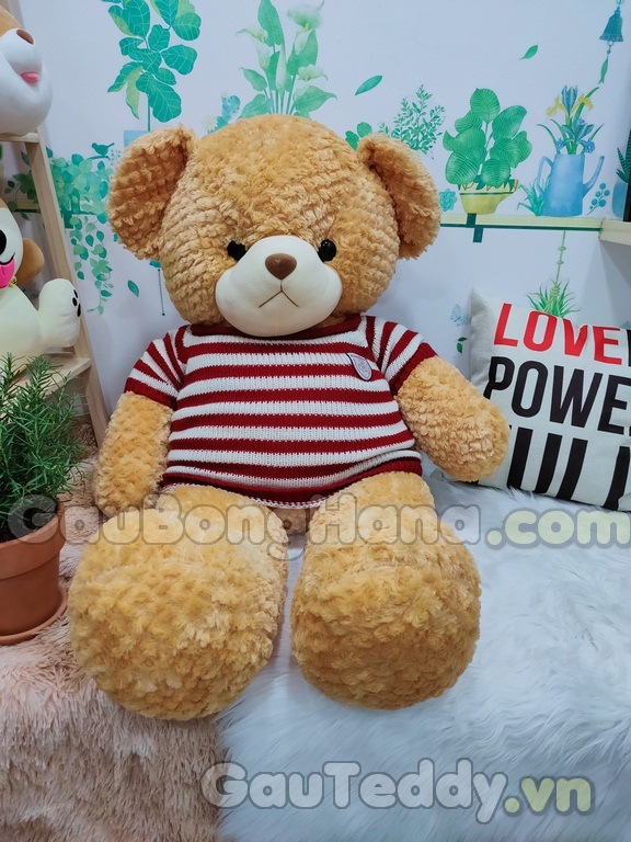 Gấu Bông Teddy Alone