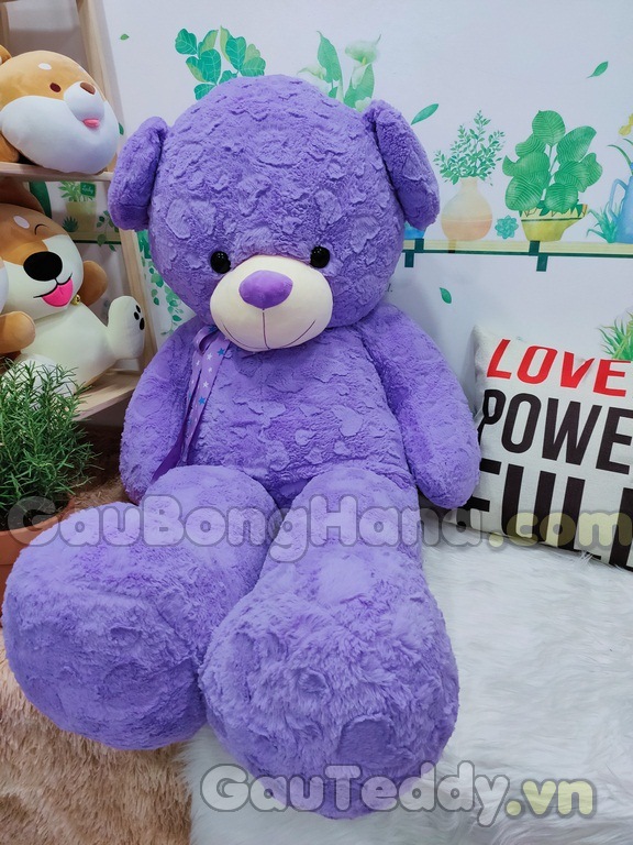 Teddy Purple Star