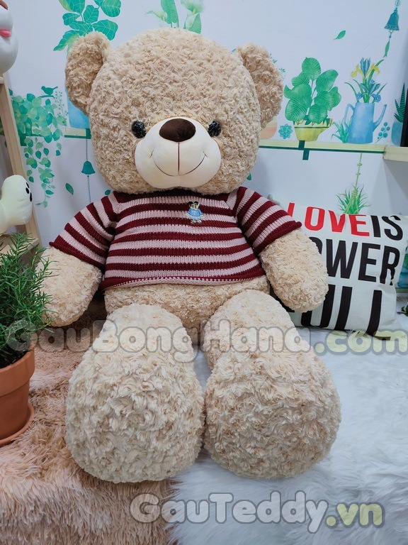 Gấu Bông Teddy Choco