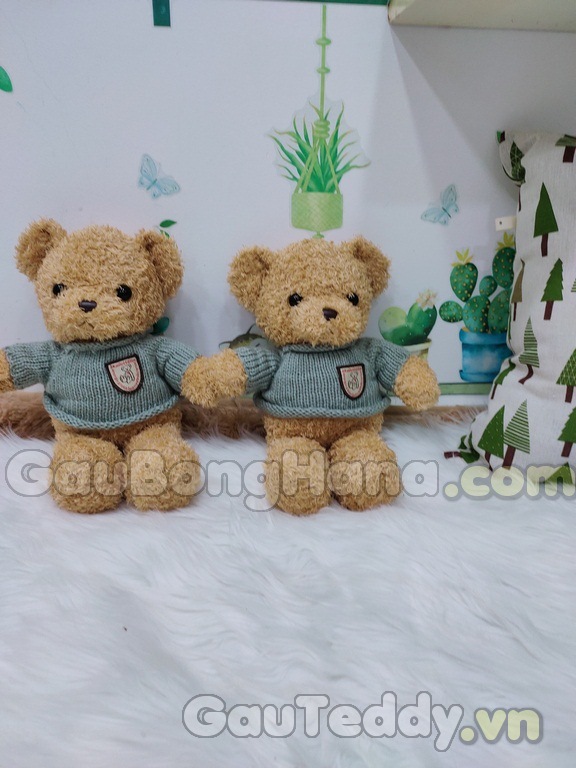 Teddy Head And Tales Size Nhỏ