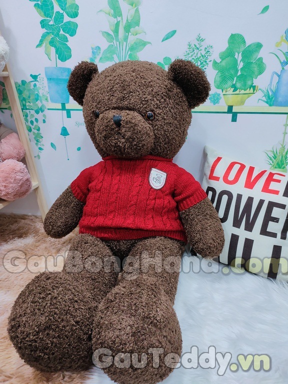 Mua Gấu Bông Size To Giá Rẻ Tại Shop Gấu Teddy TP HCM