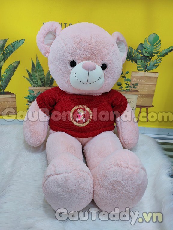 Gấu Bông Size To 1m2 Đẹp Giá Rẻ Tại Shop GauTeddy.vn