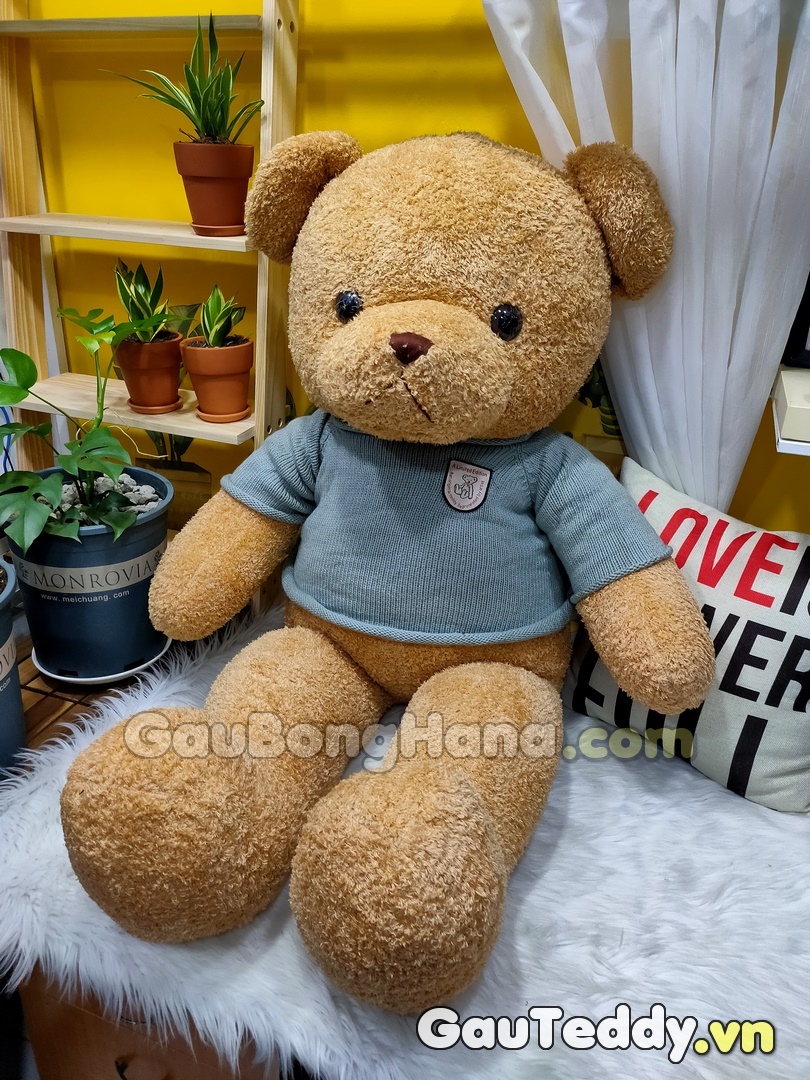 Hình Ảnh Gấu Bông Đẹp Tại Shop Gấu Teddy TP HCM