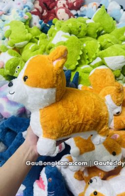 Chó Bông Corgi Đứng