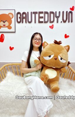 Mèo Bông Dinga